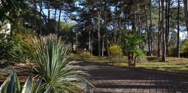 Alemagna apartmanház/ Lido del Sole_0