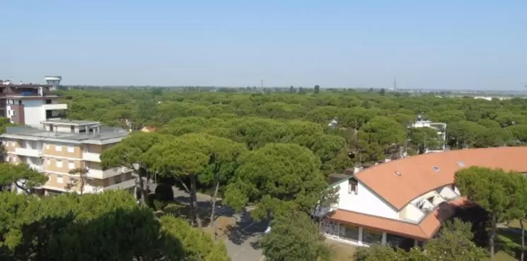 Imperiale residenza/ Pineta_0