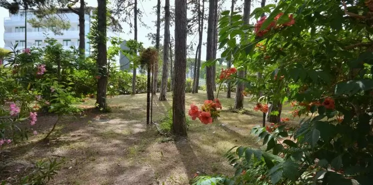 Stefania villa/ Riviera_1