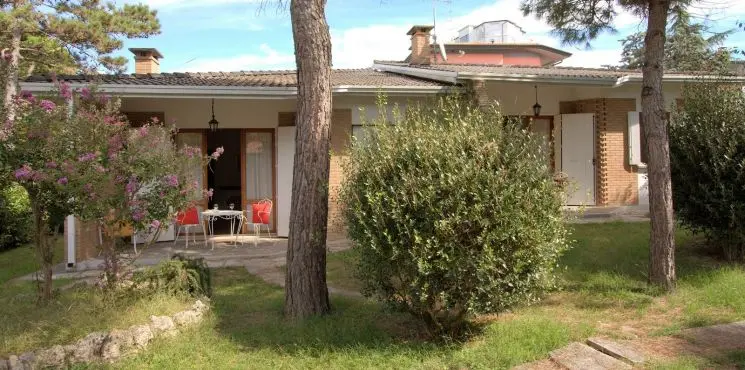 Azalea villaggio/ Pineta