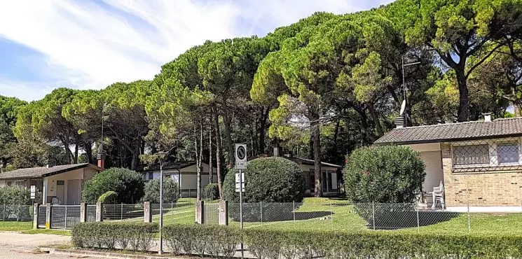Laura villaggio/ Riviera_1