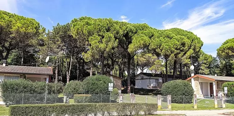 Laura villaggio/ Riviera_2