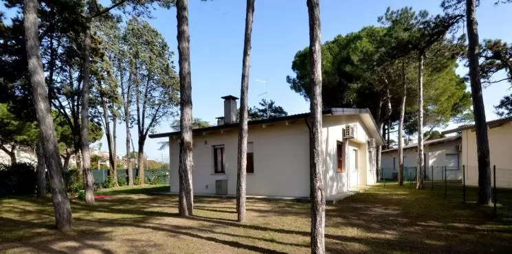 Le Palme villaggio/ Pineta_0